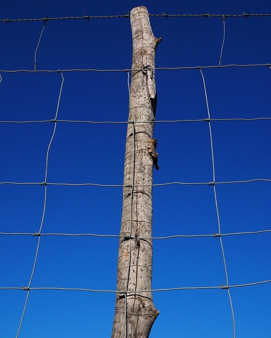 Secure Your Business Growth: How SEO Can Transform Your Bradenton Fence Installation Company!