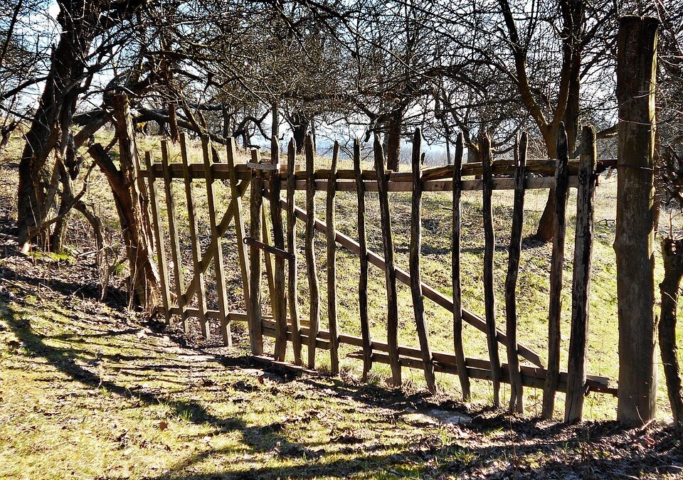 Secure Your Sarasota Market: The Untapped Benefits of SEO for Local Fence Installers