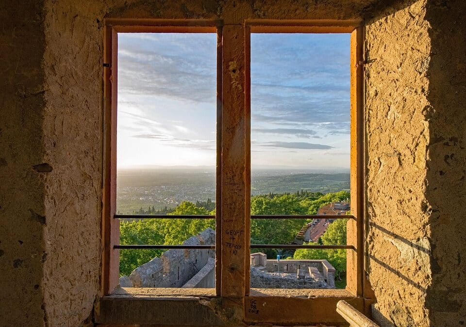 Shining a Light on Success: How SEO Can Elevate Your Sarasota Window Replacement Business