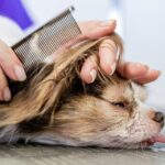 Snip, Style, and Shine: How PPC Can Elevate Your Bradenton Hair Salon to New Heights!