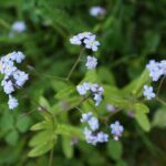 Spa-ify Your Online Presence: How SEO Can Transform Your Sarasota Day Spa Business