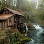 “Sparkle and Shine: How SEO Can Elevate Your Sarasota House Cleaning Business”