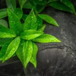 Stand Out in Bradenton: Why Every Tile Installer Needs a Smart PPC Strategy