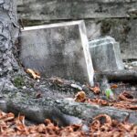 Stay Afloat in Bradenton: How Targeted PPC Campaigns Can Rescue Your Water Damage Business