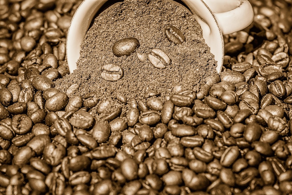 Steaming Ahead: How Smart PPC Campaigns Can Boost Your Bradenton Coffee Shop’s Visibility and Sales