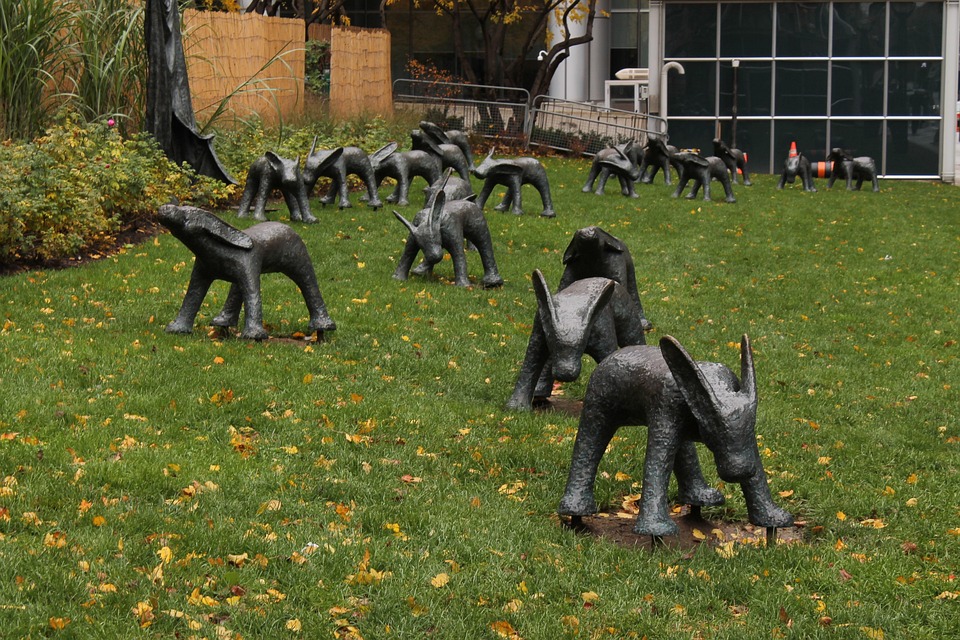 Step Through the Digital Door: Why Sarasota's Small Businesses Need PPC for Door Installation Success