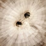 Step Up Your Studio's Visibility: How PPC Can Move Your Bradenton Dance School to the Front of the Line!