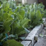 Streamline Your Success: How PPC Can Put Sarasota’s Home Organizers on the Map