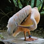 Streamline Your Success: Unleash the Benefits of PPC Advertising for Gutter Cleaning in Bradenton!