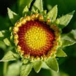 Strokes of Success: Harnessing SEO to Elevate Your Painting Business in Bradenton