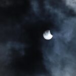 Sunshine Sales: 5 Ways PPC Campaigns Can Energize Your Sarasota Solar Business