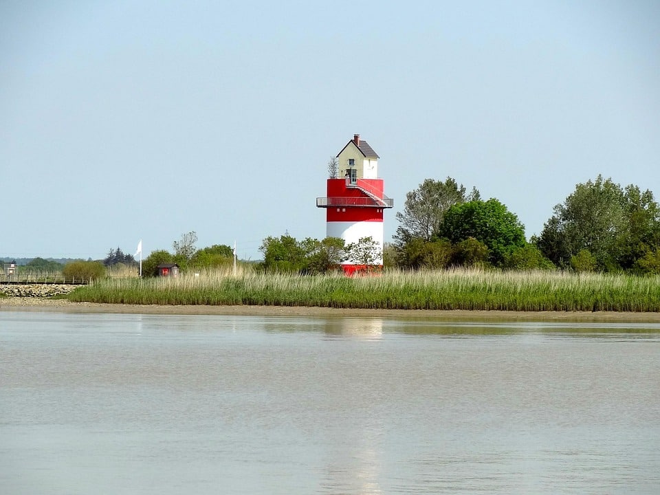 Sweep Your Way to Success: How PPC Ads Can Ignite Your Bradenton Chimney Sweep Business