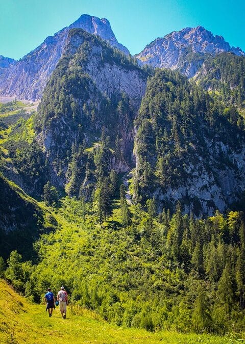 Tails of Success: How Targeted PPC Can Propel Your Dog Walking Business in Sarasota