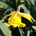 The Beauty of SEO: Elevate Your Bradenton Day Spa's Online Impact & Customer Reach!