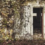 The Blueprint for Success: Why Bradenton's Demolition Contractors Need PPC to Thrive