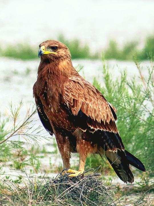 “The Digital Edge: How SEO Can Elevate Your Bradenton Siding Contracting Business”