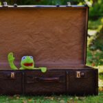 The SEO Toolbox for Sarasota Junk Haulers: Tools and Techniques to Elevate Your Business