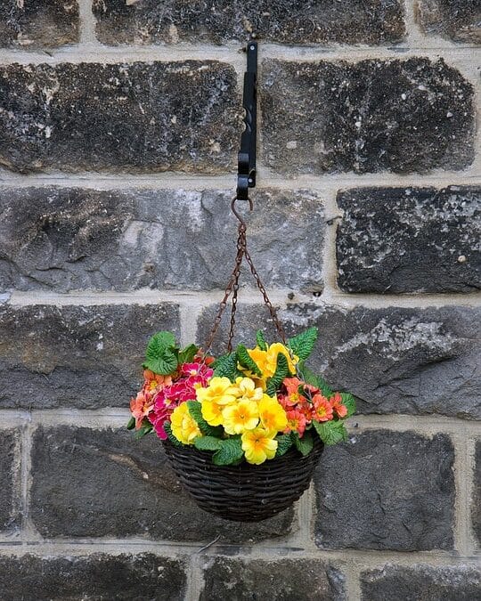 Tidy Up Your Online Presence: Boost Your Sarasota Home Organizing Business with SEO