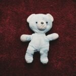 Transform Your Carpet Cleaning Business: How PPC Can Fill Your Calendar with Sarasota Clients