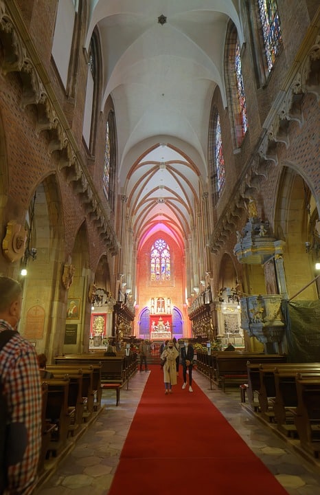 Transform Your Carpet Cleaning Business in Sarasota: The Power of Local SEO Explained