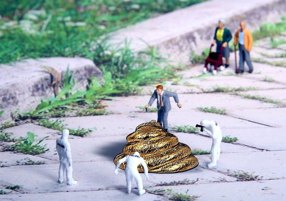 Transform Your Gutter Cleaning Business: The SEO Strategies Every Bradenton Owner Should Know