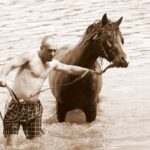 “Transform Your Sarasota Bathroom & Boost Profits: The Power of PPC Advertising”