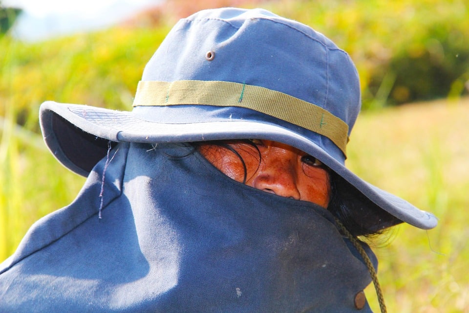 Transform Your Sarasota Landscaping Business: How Local SEO Can Grow Your Client Base