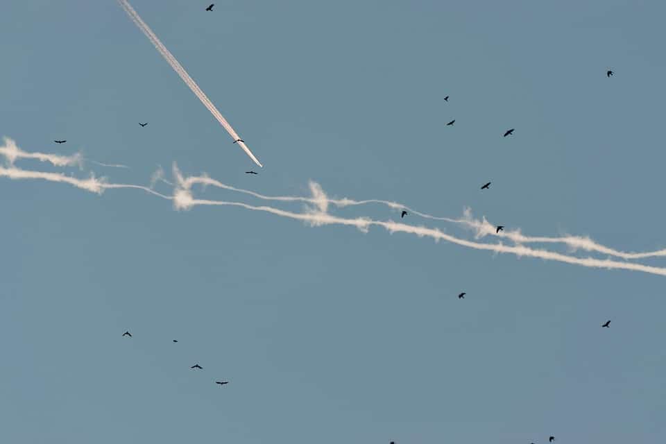 Turn Clicks Into Clients: The Essential Guide to PPC for Small IT Firms in Sarasota