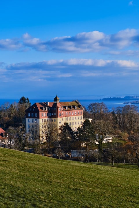 Unleash Your Business Potential: The Top 5 SEO Strategies for Sarasota Pet Boarding Services