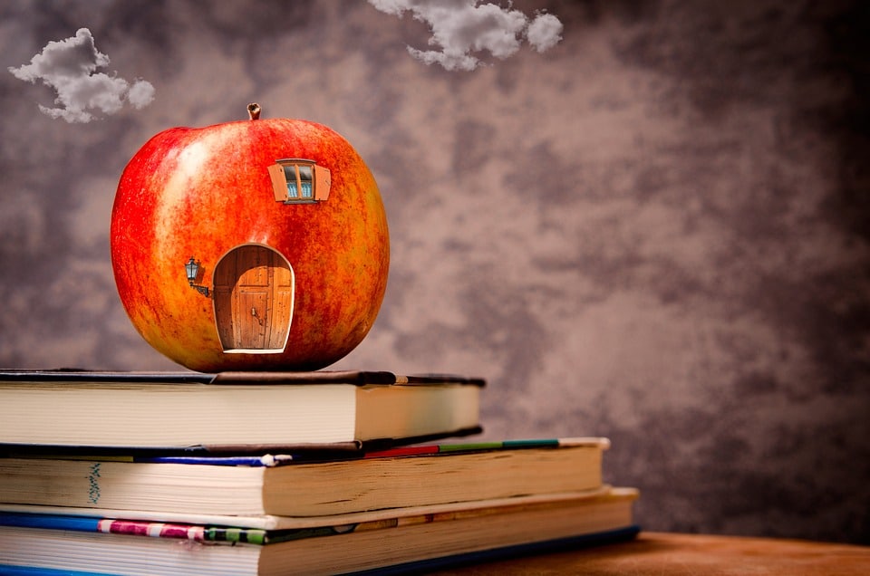 Unlock Your Sarasota Home Organizing Business: 5 PPC Strategies to Boost Local Visibility