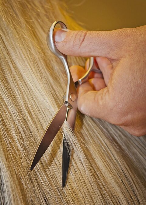 Unlock the Power of PPC: Transforming Local Hair Salons in Bradenton into Community Favorites!