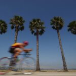 Unlocking Growth: The Essential SEO Strategies for Bradenton's Movers to Dominate Local Searches