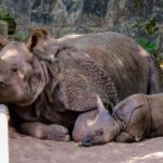 Unlocking Growth: The Top 7 SEO Benefits for Bradenton's Septic Tank Services