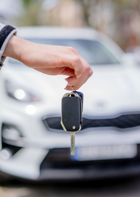 Unlocking Local Success: How SEO Can Elevate Your Insurance Business in Bradenton