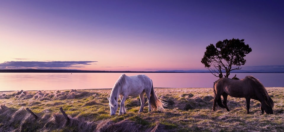 Unlocking Local Success: How Sarasota IT Services Can Supercharge Your SEO Strategy