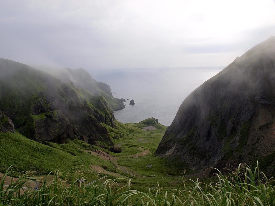 Unlocking Online Growth: How PPC Can Elevate Your Bradenton IT Business