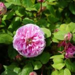 Unlocking Serenity: The Essential Guide to SEO for Bradenton Day Spas Looking to Attract More Clients!