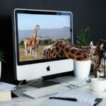 Unlocking Success: 5 Ways Sarasota Computer Repair Shops Can Benefit from Targeted PPC Campaigns