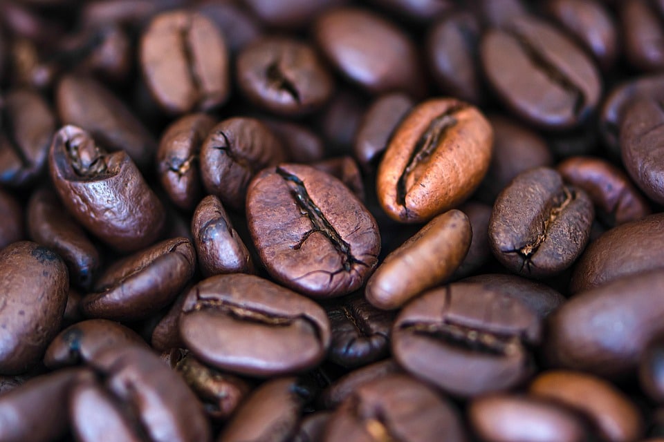 Wake Up and Smell the Profits: Transform Your Sarasota Coffee Shop with PPC
