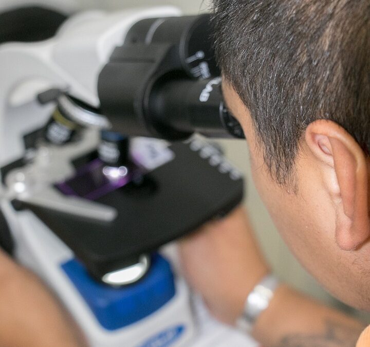 Want More Patients? Discover How SEO Can Transform Your Sarasota Medical Practice