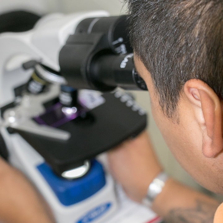 Want More Patients? Discover How SEO Can Transform Your Sarasota Medical Practice