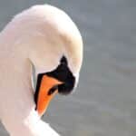 Why Every Small Business in Bradenton Needs PPC: Elevating Your Dryer Vent Cleaning Service Above the Competition!