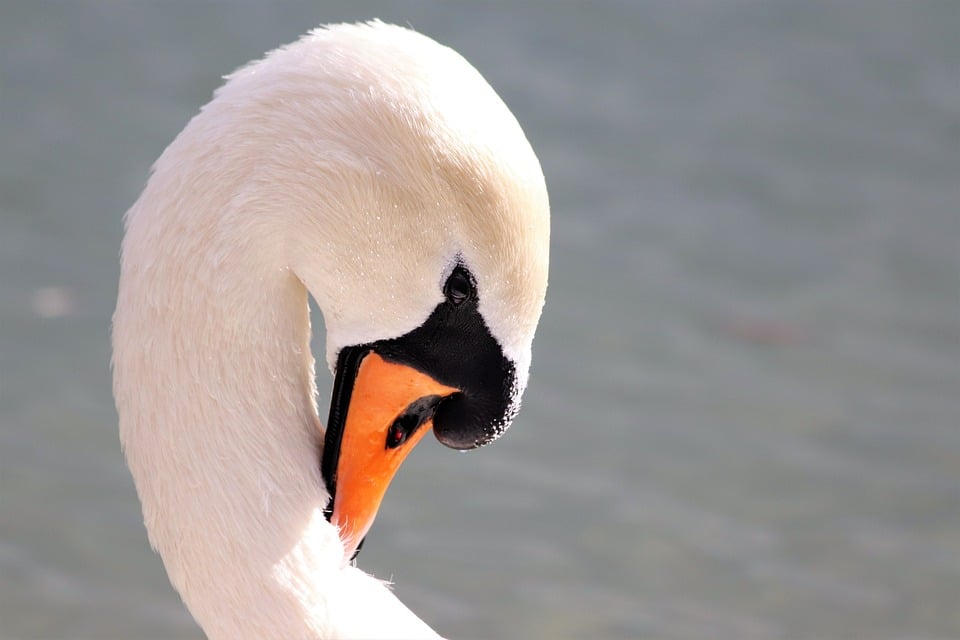 Why Every Small Business in Bradenton Needs PPC: Elevating Your Dryer Vent Cleaning Service Above the Competition!