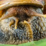 Why Your Sarasota Land Grading Business Needs PPC: Transform Clicks into Contracts!