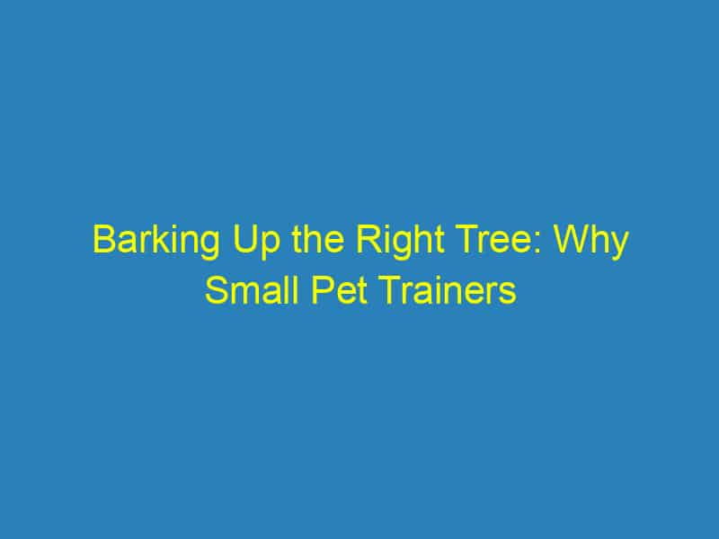 Barking Up the Right Tree: Why Small Pet Trainers in Sarasota Should Invest in PPC