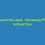 Beyond the Leash: Harnessing PPC to Boost Your Sarasota Vet Business