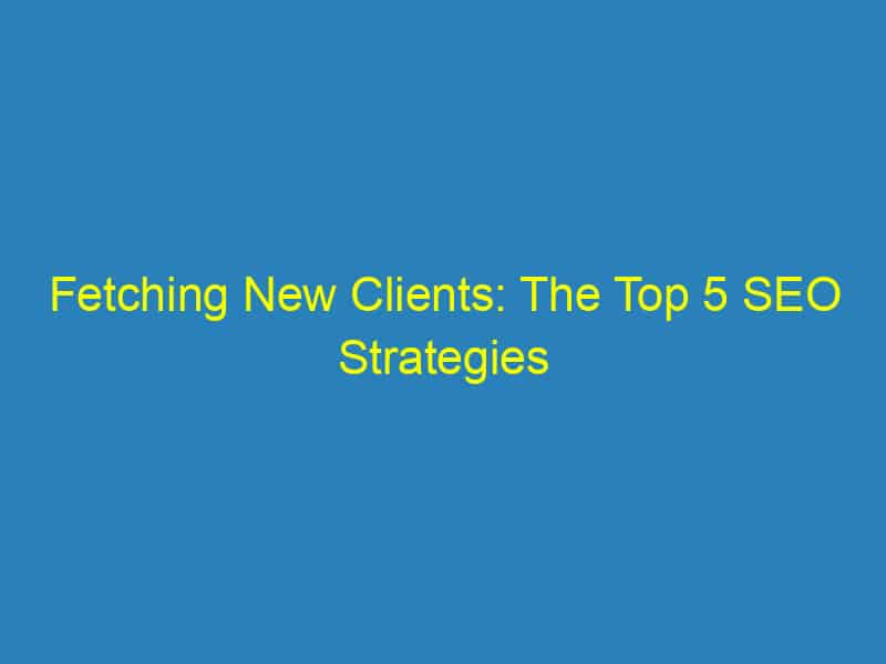 Fetching New Clients: The Top 5 SEO Strategies for Bradenton Veterinarians