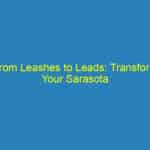 From Leashes to Leads: Transform Your Sarasota Pet Training Business with PPC