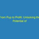 From Pup to Profit: Unlocking the Potential of PPC for Your Bradenton Pet Training Services