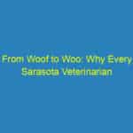 From Woof to Woo: Why Every Sarasota Veterinarian Needs an SEO Strategy for Success